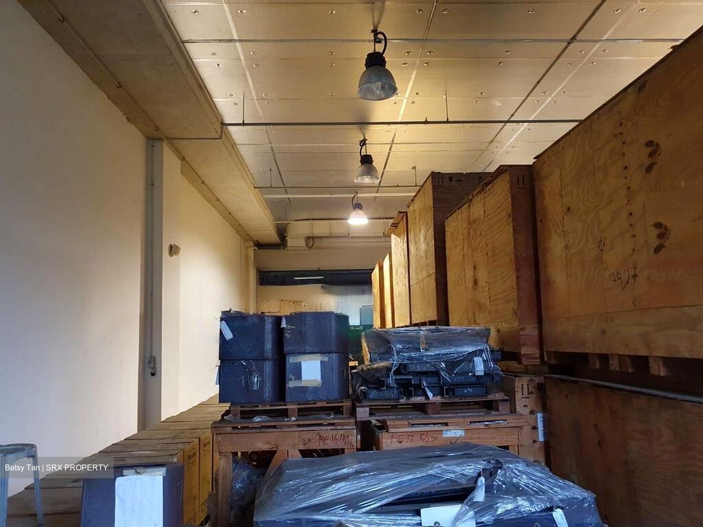 Westlink One (D22), Factory #494423261